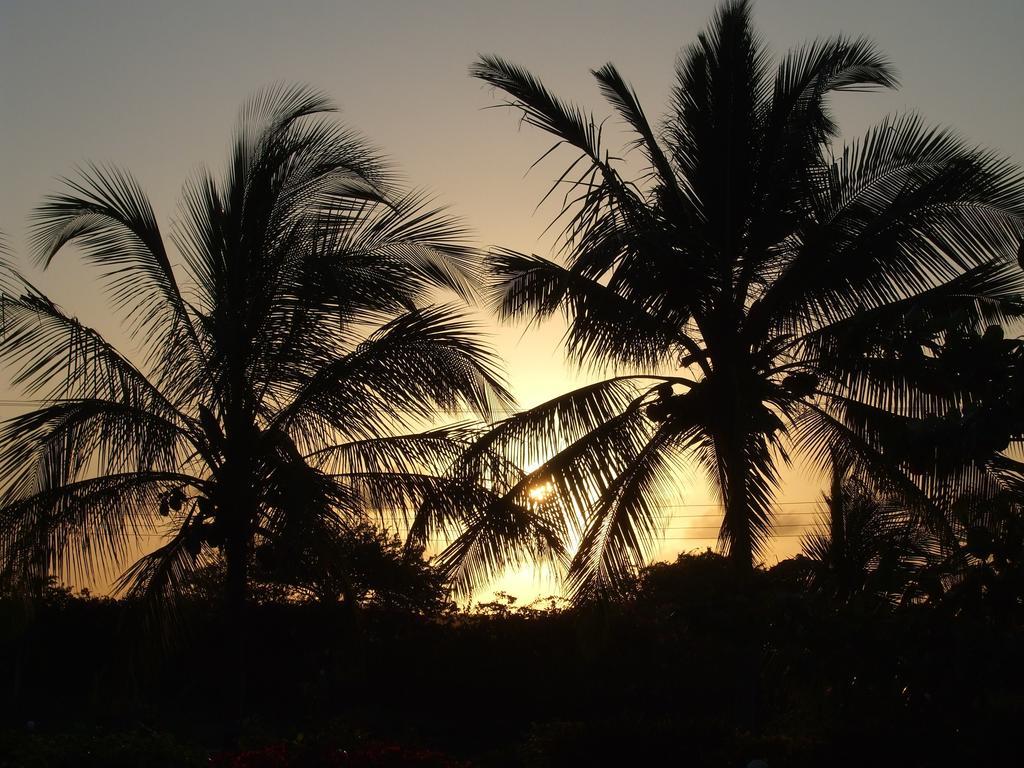 Flamingo Villas Resort Malindi Kültér fotó