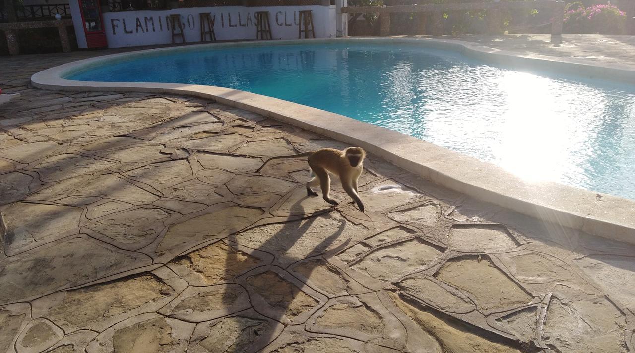 Flamingo Villas Resort Malindi Kültér fotó