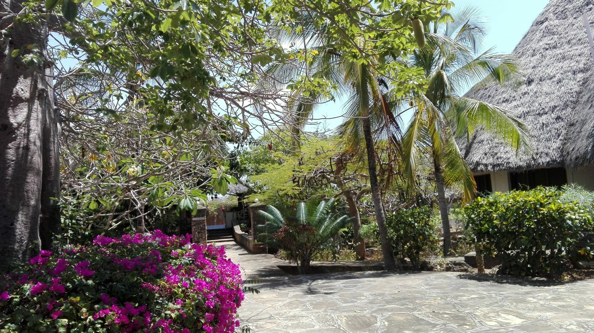 Flamingo Villas Resort Malindi Kültér fotó